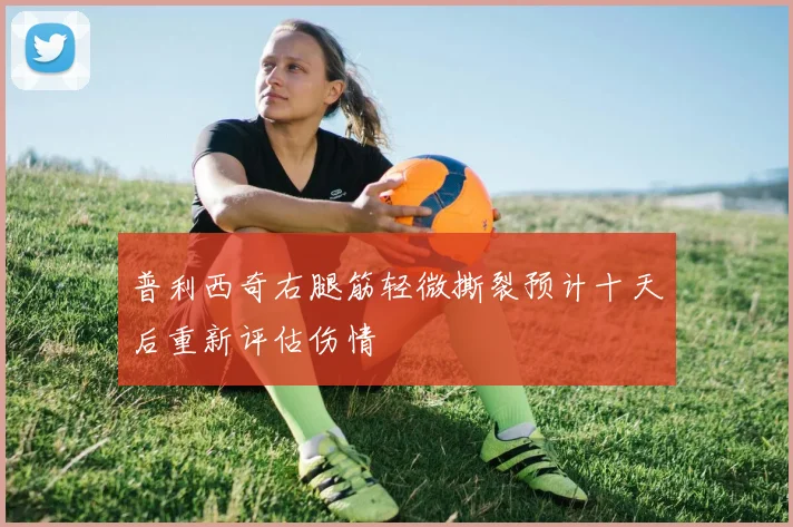 普利西奇右腿筋轻微撕裂预计十天后重新评估伤情